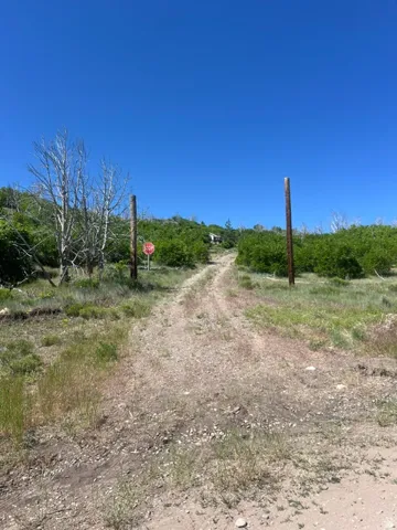 Gravel drive bordered by natural landscaping and tall wooden posts