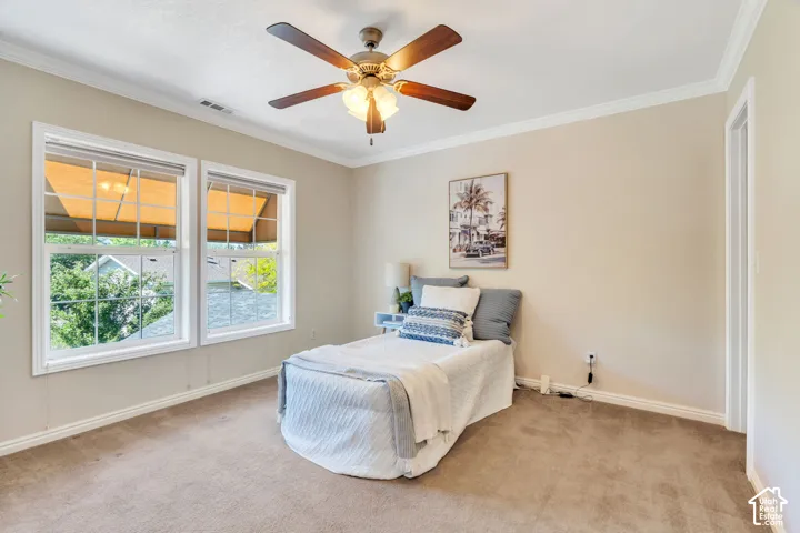 Carpeted room featuring a ceiling fan with integrated lighting, two windows with white trim, and crown molding