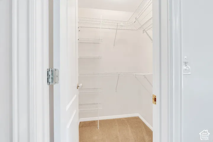 Walk-in closet featuring white wire shelving, white walls, and beige carpeting