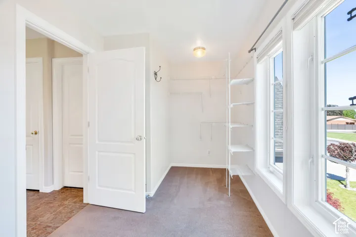 Room featuring carpet flooring, multiple panel doors with polished chrome hardware, built-in shelving, and several windows providing natural light