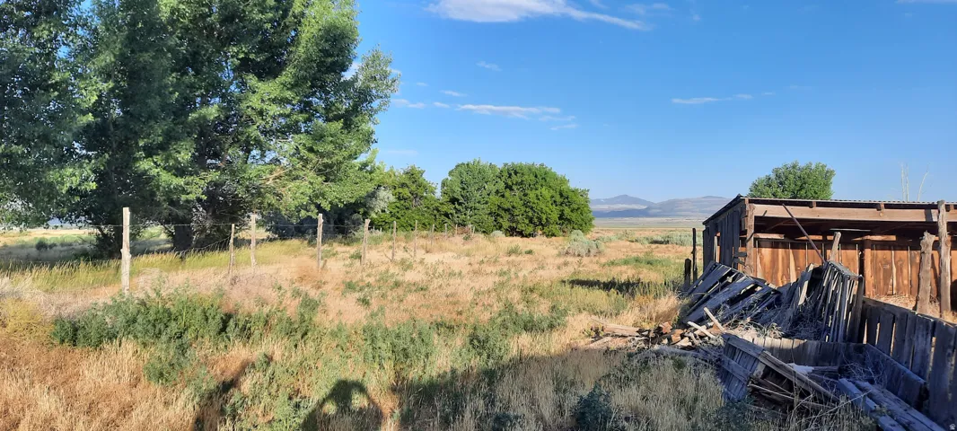 View of yard with a view of rural / pastoral area and a mountain view