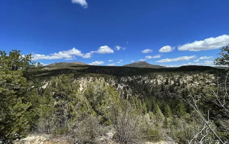 Expansive natural landscape featuring varied terrain, abundant evergreen trees, distant mountain ranges, and a clear blue sky with scattered clouds