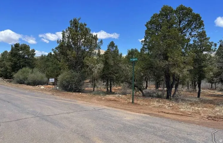 Roadside parcel with established trees and natural landscaping