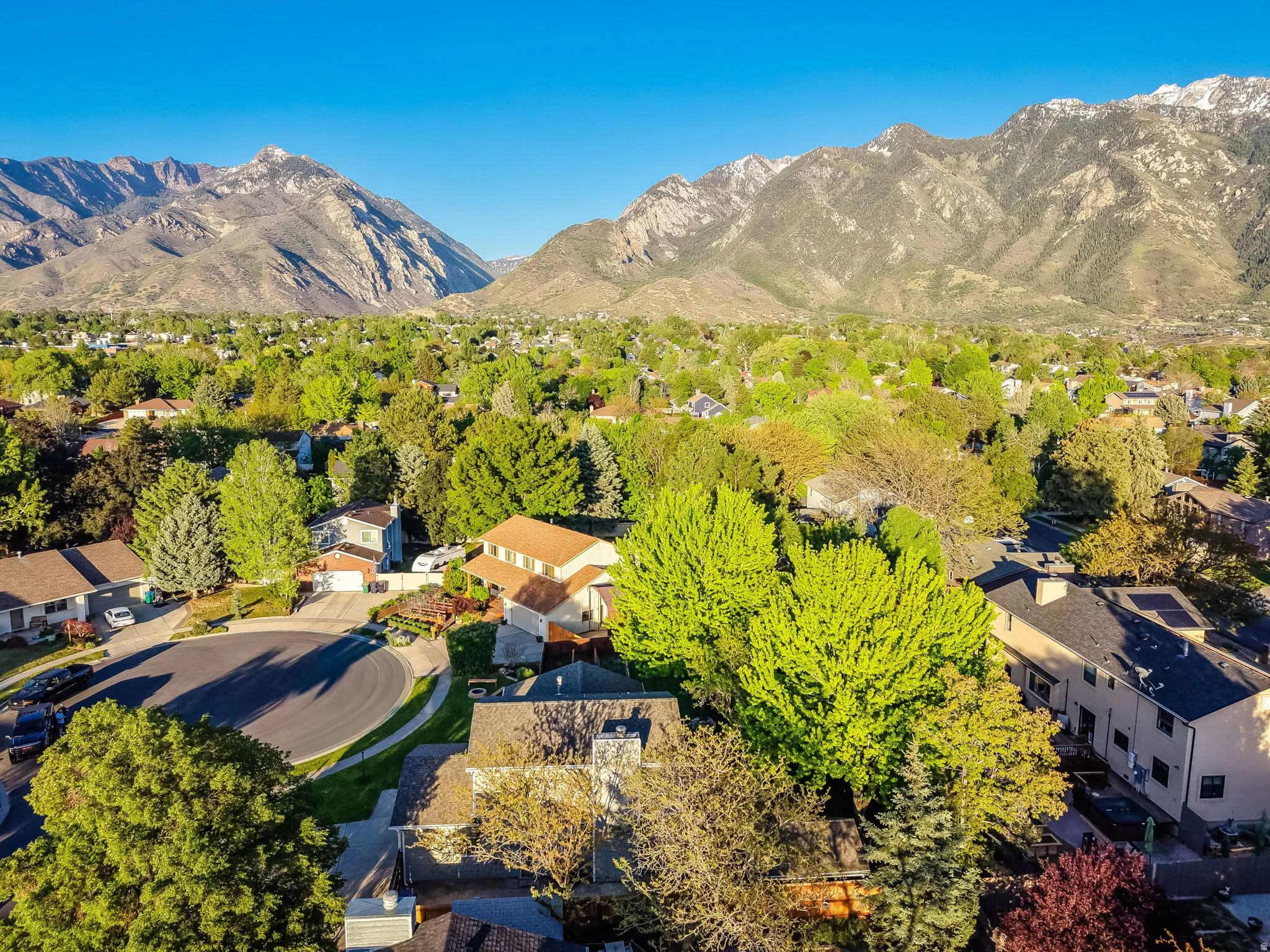 Mature tree-lined neighborhood featuring mountain scenery