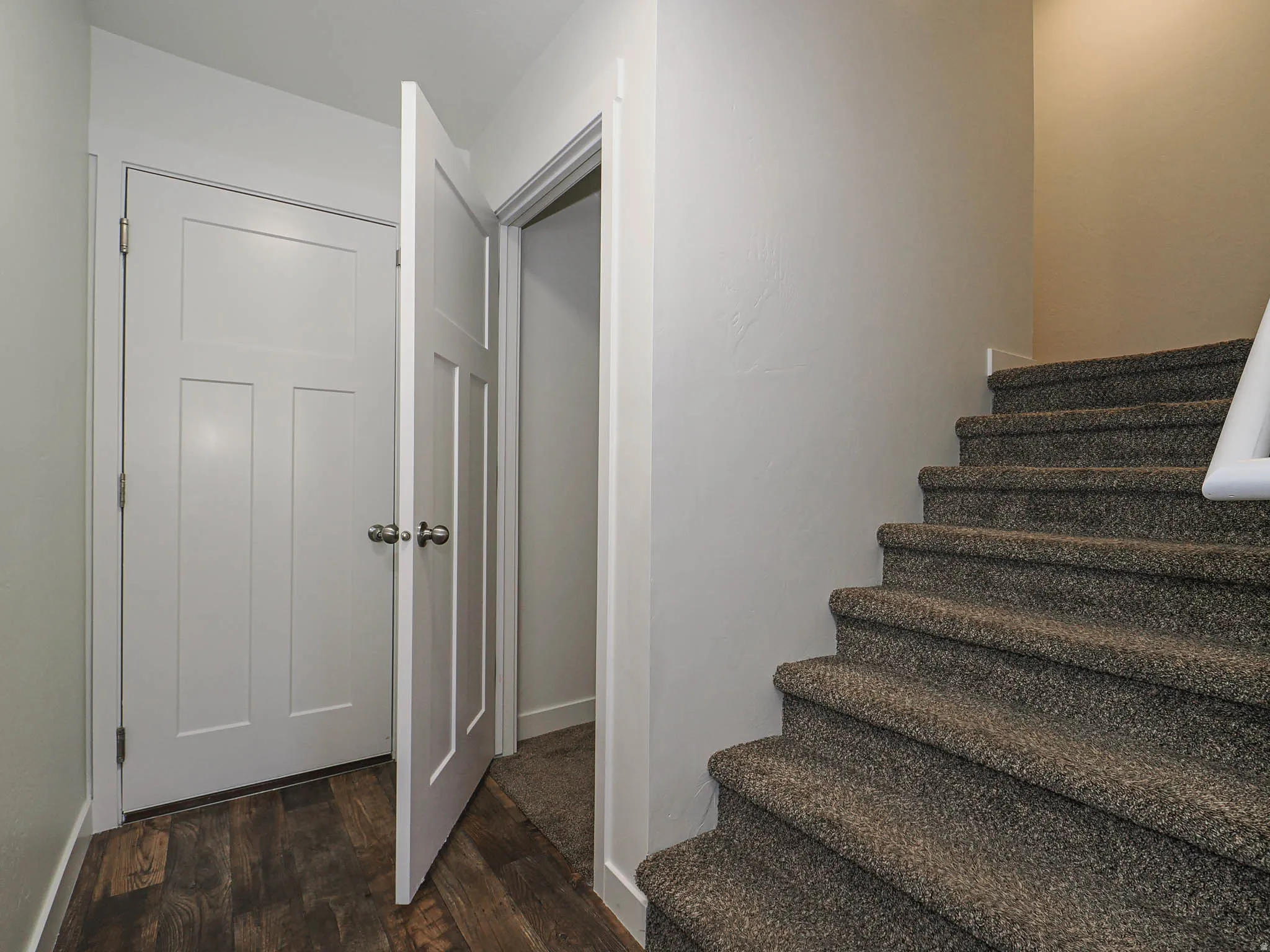 Staircase with textured carpeting and a white handrail, complemented by dark wood-finish flooring and white paneled doors