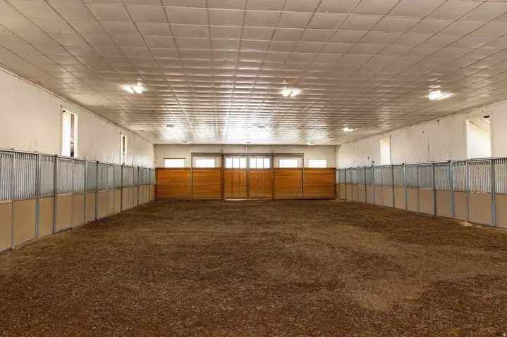 Spacious indoor arena with ample natural light from multiple windows