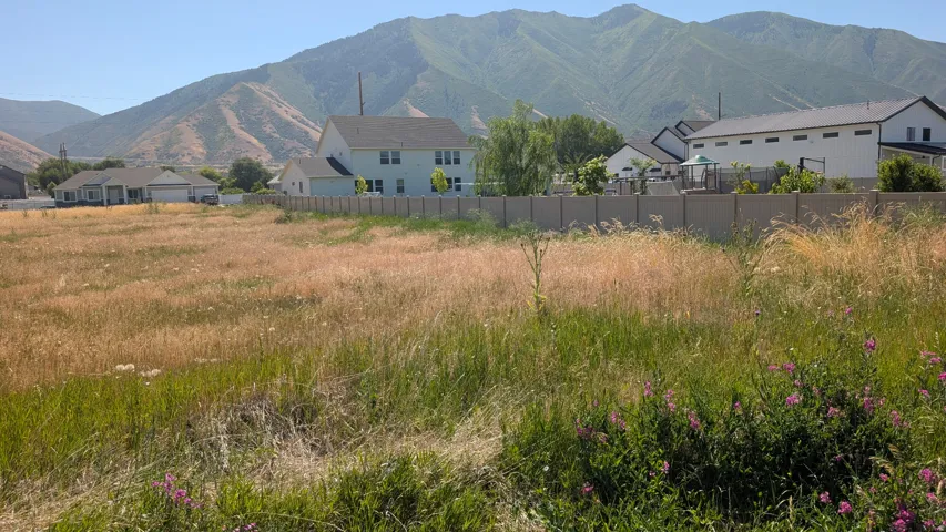Expansive undeveloped lot featuring natural vegetation and a concrete boundary fence