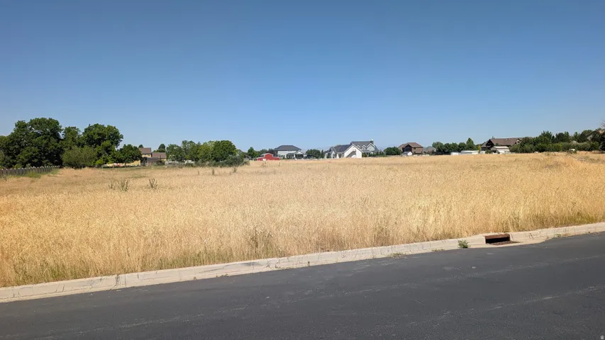 Expansive undeveloped lot featuring golden-hued natural grasses and a clear, open sky