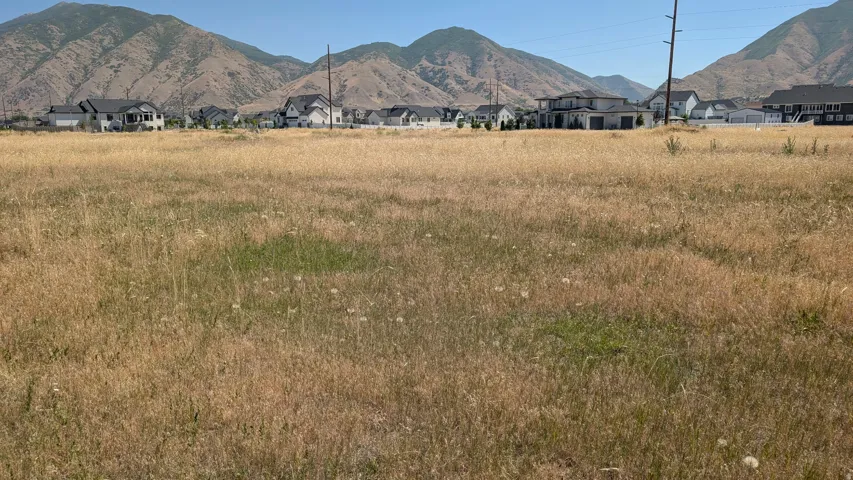Expansive undeveloped land parcel with a mountain backdrop