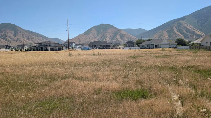 Expansive undeveloped parcel featuring natural vegetation and surrounding mountain scenery