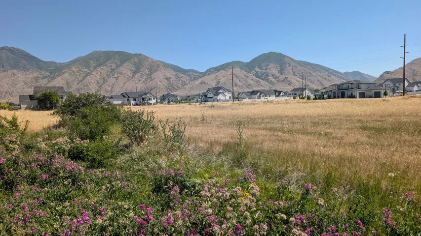 209 N 800 W, Mapleton, Utah 84664