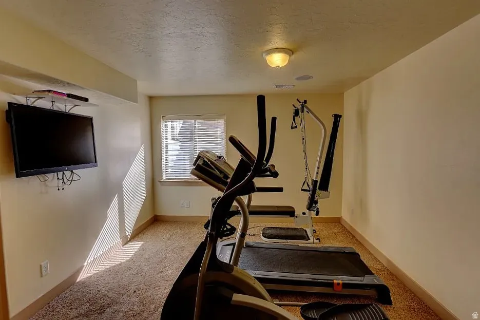 Carpeted room with a wall-mounted television, a single window with horizontal blinds, and a ceiling-mounted light fixture
