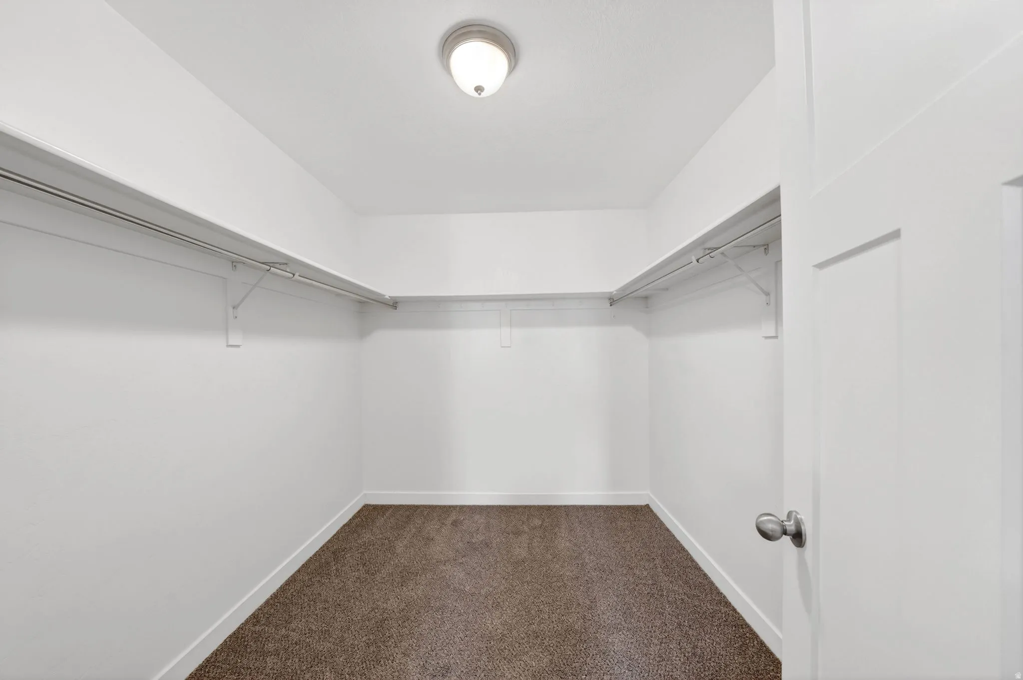 Walk-in closet with overhead lighting, white walls, white trim, and brown carpeting