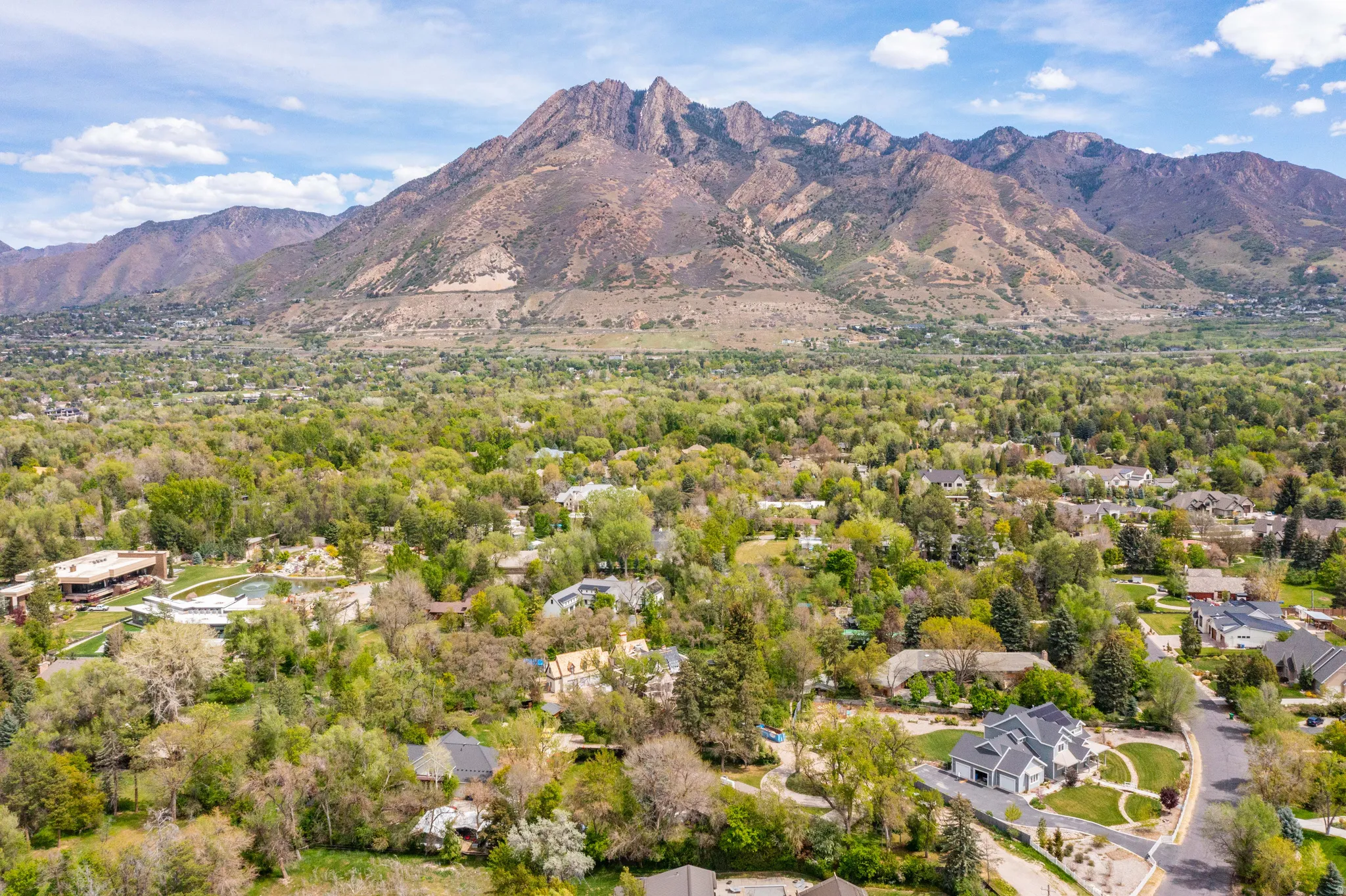 Expansive residential area featuring a diverse collection of homes surrounded by mature trees, all against a prominent mountain backdrop