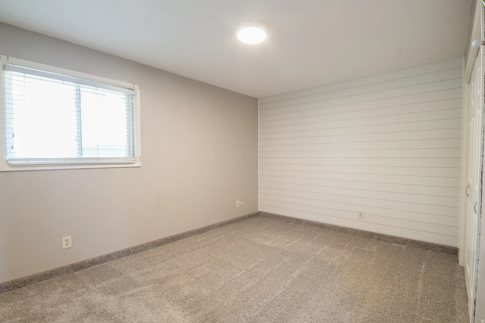 Room featuring light gray walls, plush gray carpeting, a single window with blinds, and a white shiplap accent wall