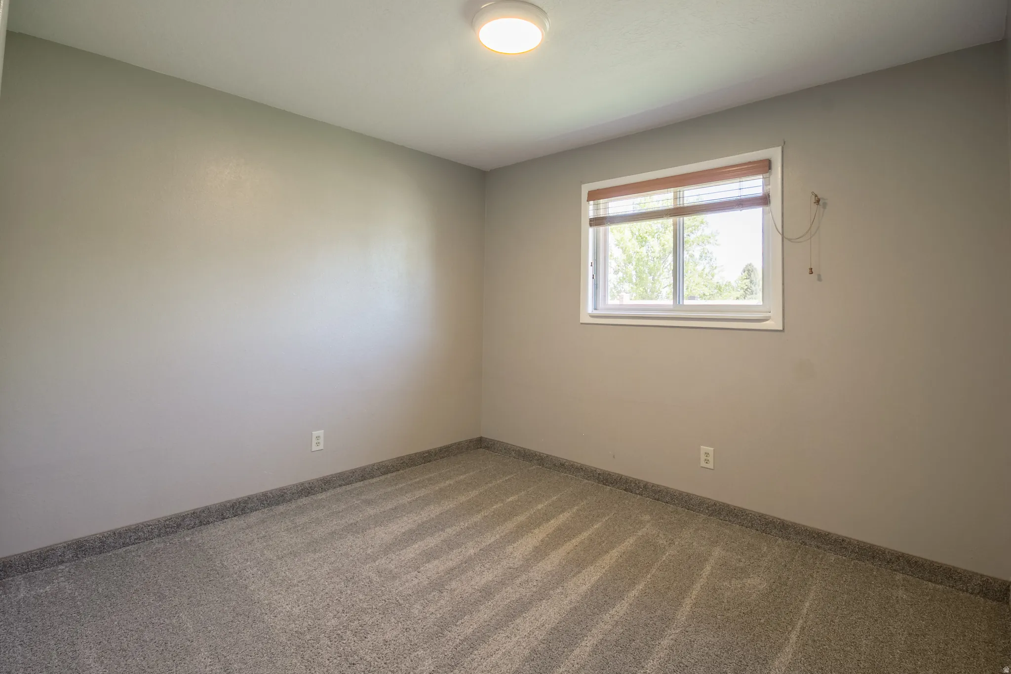 Room featuring light gray walls, gray carpet, a white framed window with brown blinds, and a flush mount ceiling light