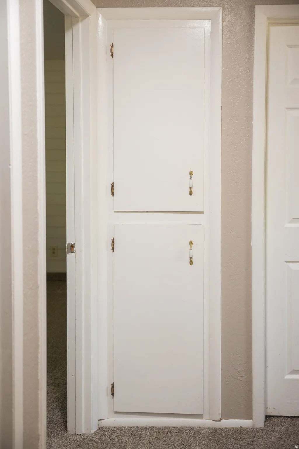 Built-in cabinetry with two white panel doors and decorative brass hardware