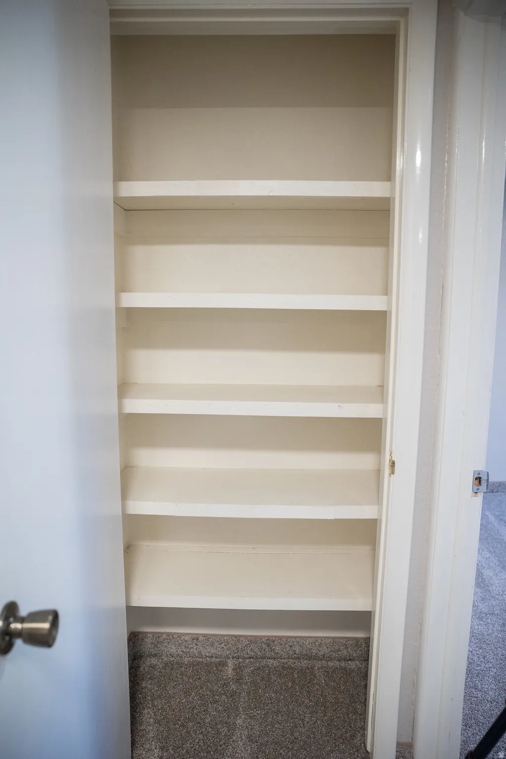 Built-in shelving unit featuring multiple fixed shelves, white painted finish, and carpeted floor base