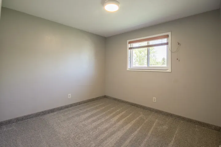 Room featuring light gray walls, gray carpet, a white framed window with brown blinds, and a flush mount ceiling light
