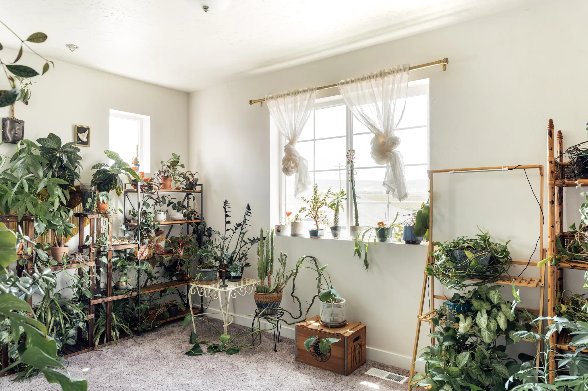 Bright room featuring a large window, a smaller upper window, light wall paint, and textured carpeting