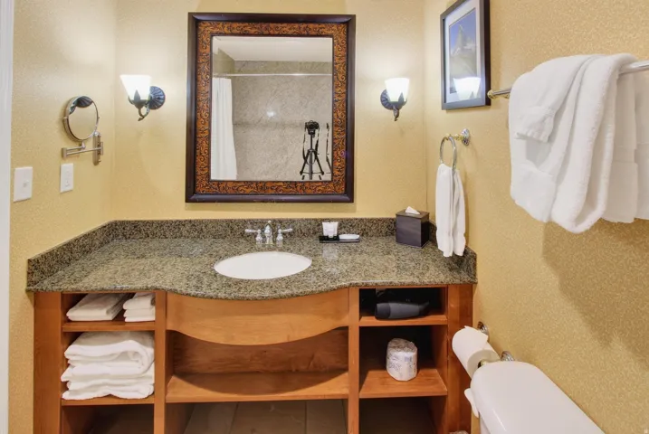 Vanity featuring a stone countertop, an integrated sink, and an ornamental framed mirror