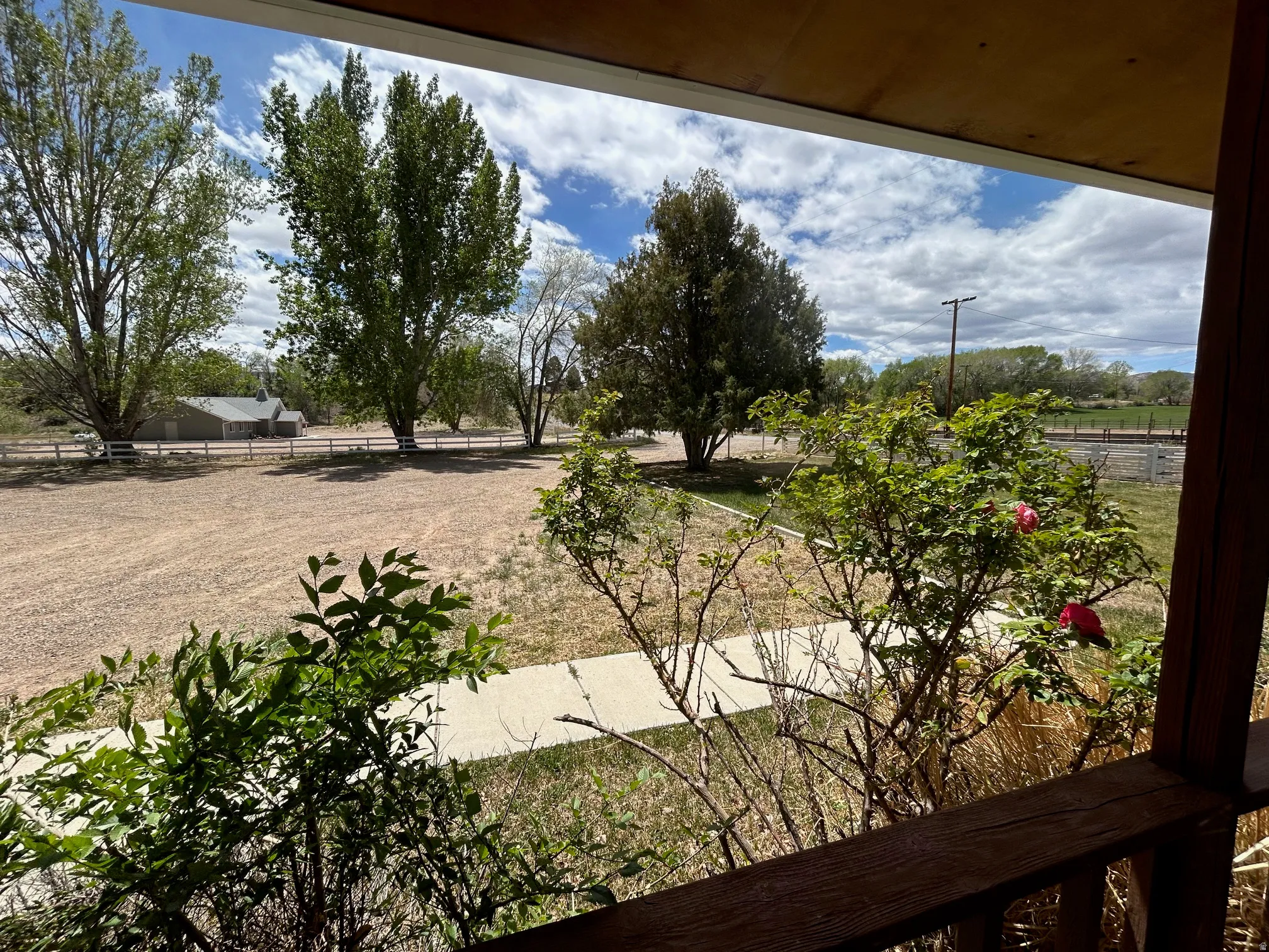 Expansive outdoor space featuring mature trees and a gravel driveway
