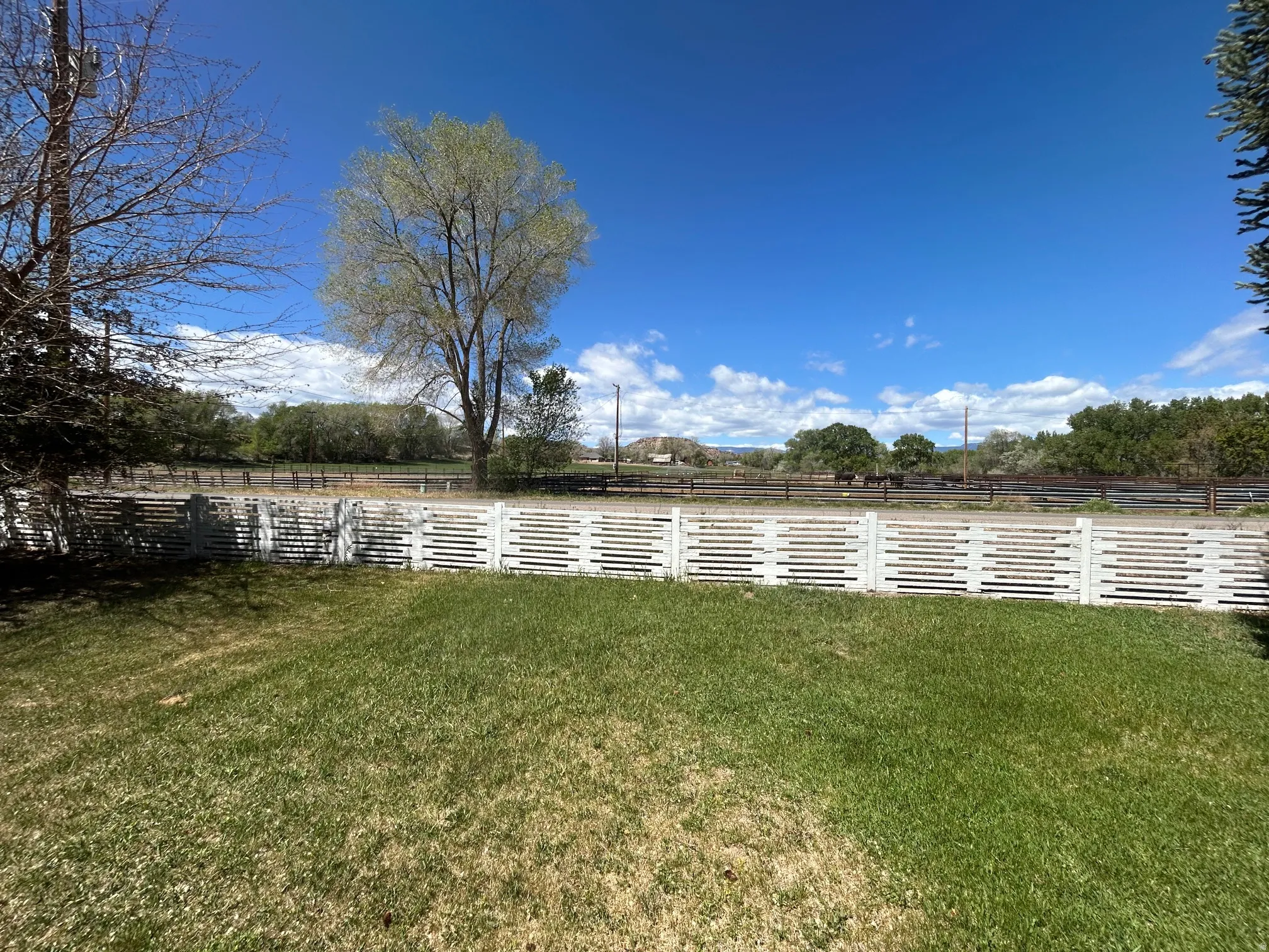 Expansive green lawn bounded by a white horizontal slat fence