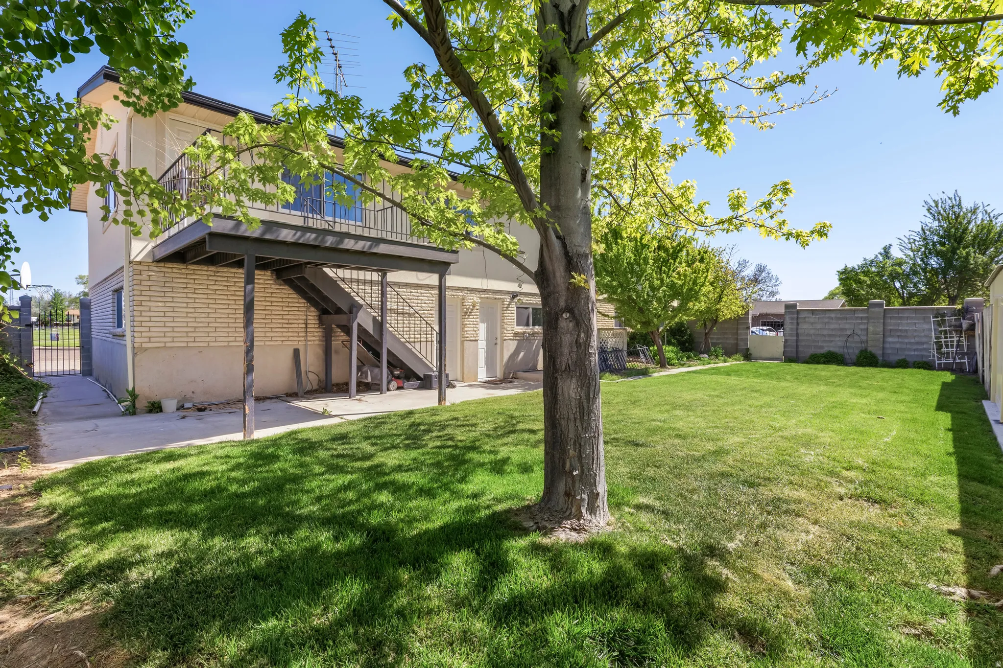 Expansive rear yard featuring a large grass area, mature tree, and a concrete perimeter wall