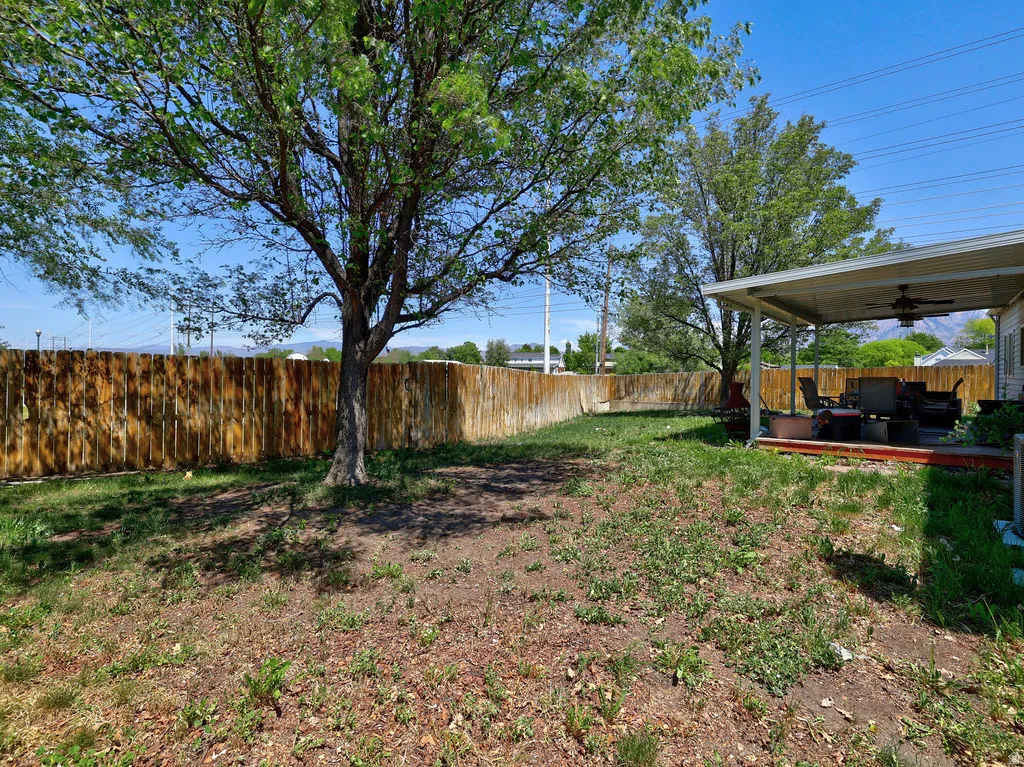 Expansive backyard featuring a wood privacy fence and a mature shade tree