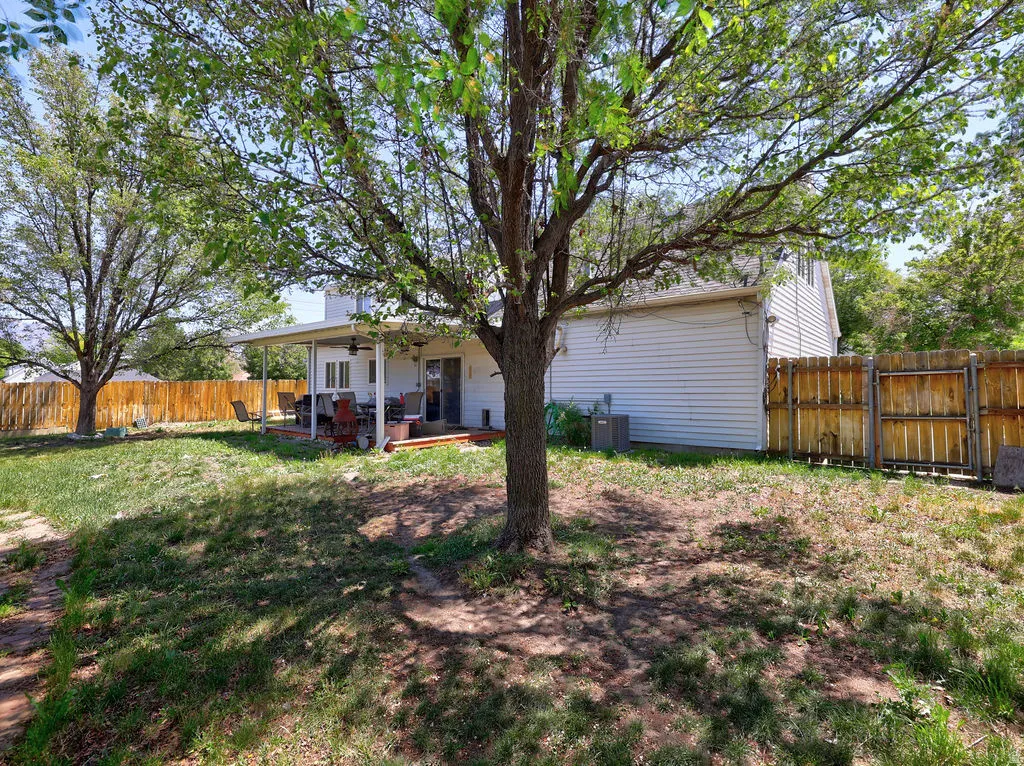 Expansive backyard featuring a large mature shade tree and a covered patio area
