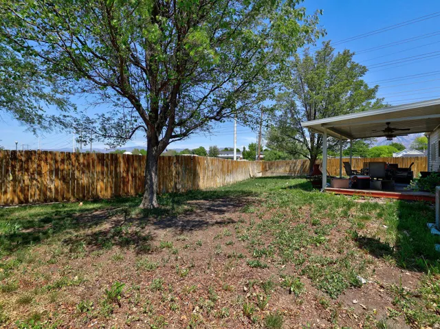 Expansive backyard featuring a wood privacy fence and a mature shade tree