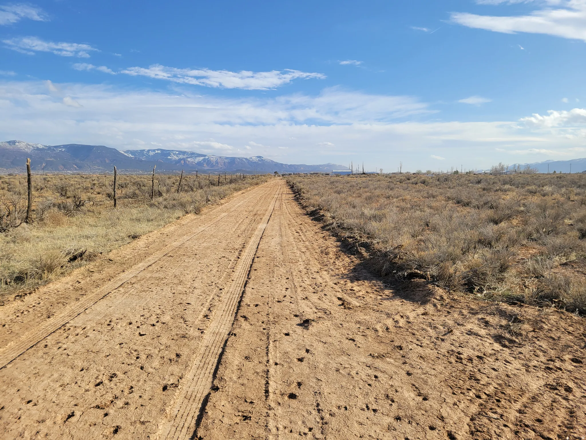 Expansive undeveloped land featuring a dirt road and natural desert flora