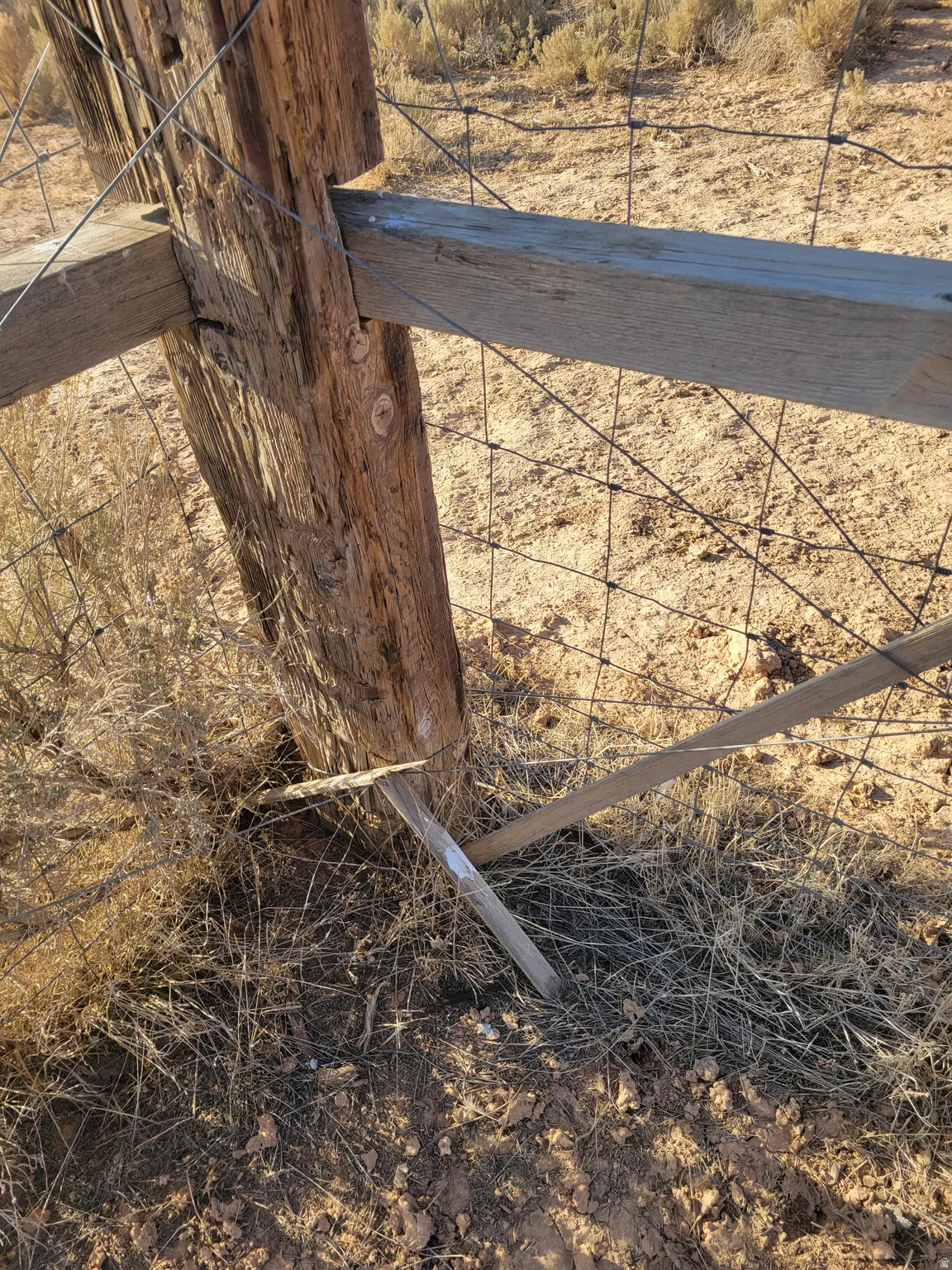 Wood fence post featuring a wire mesh fence