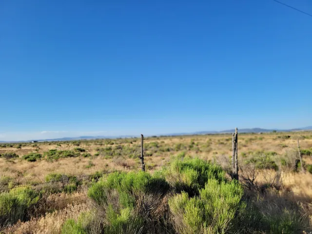 Expansive undeveloped land featuring natural vegetation and distant mountain ranges under a clear sky
