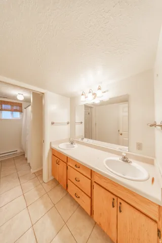 Basement bathroom with double vanity
