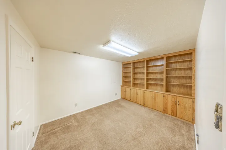 Office/Den in basement with closet