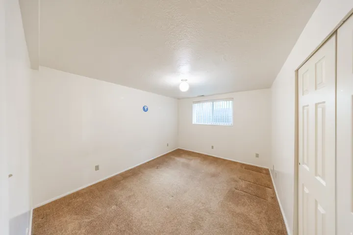 Basement Bedroom