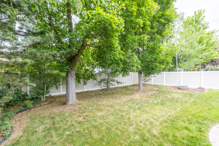 Private backyard with beautiful mature trees