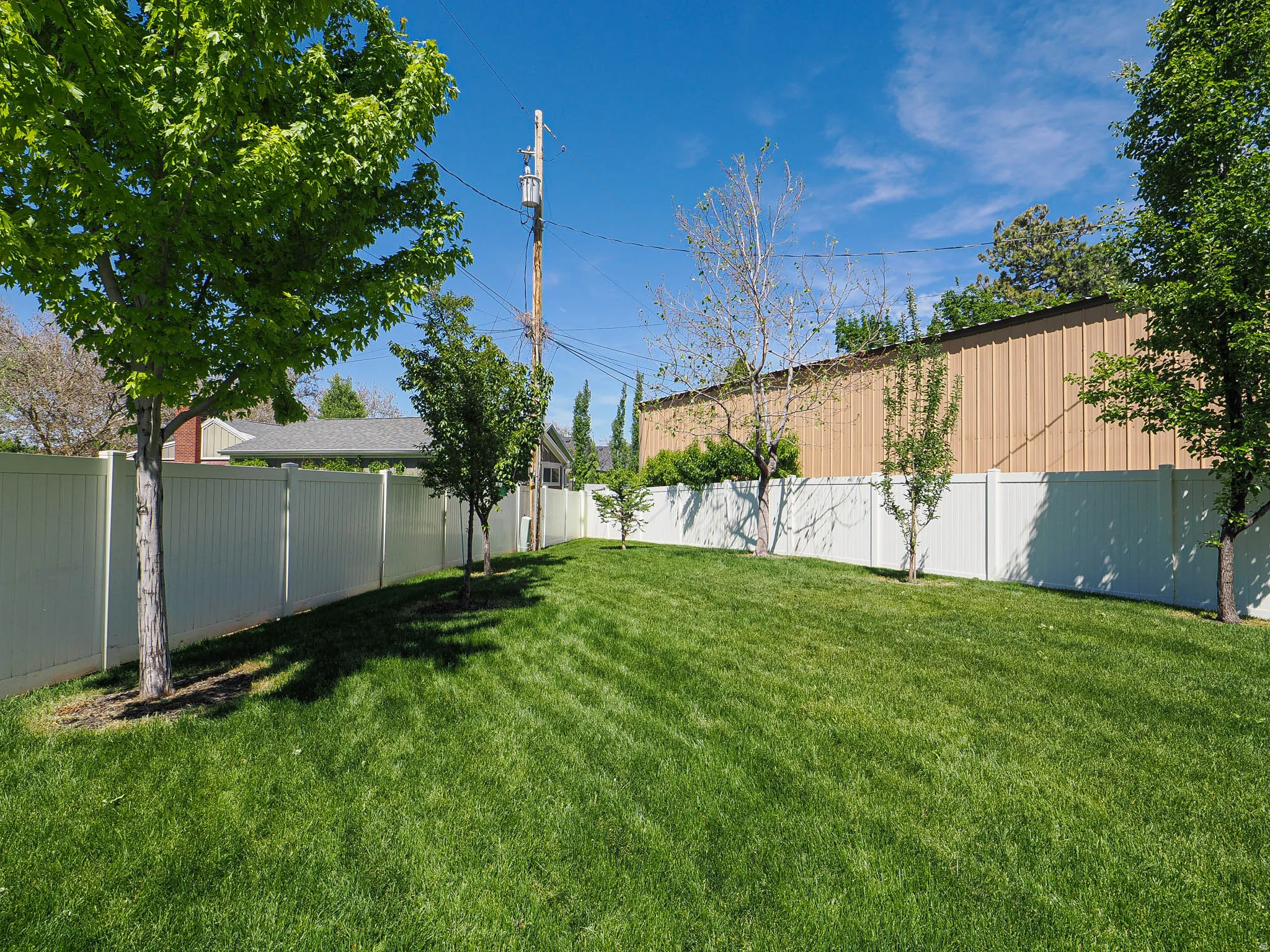 Fruit trees.