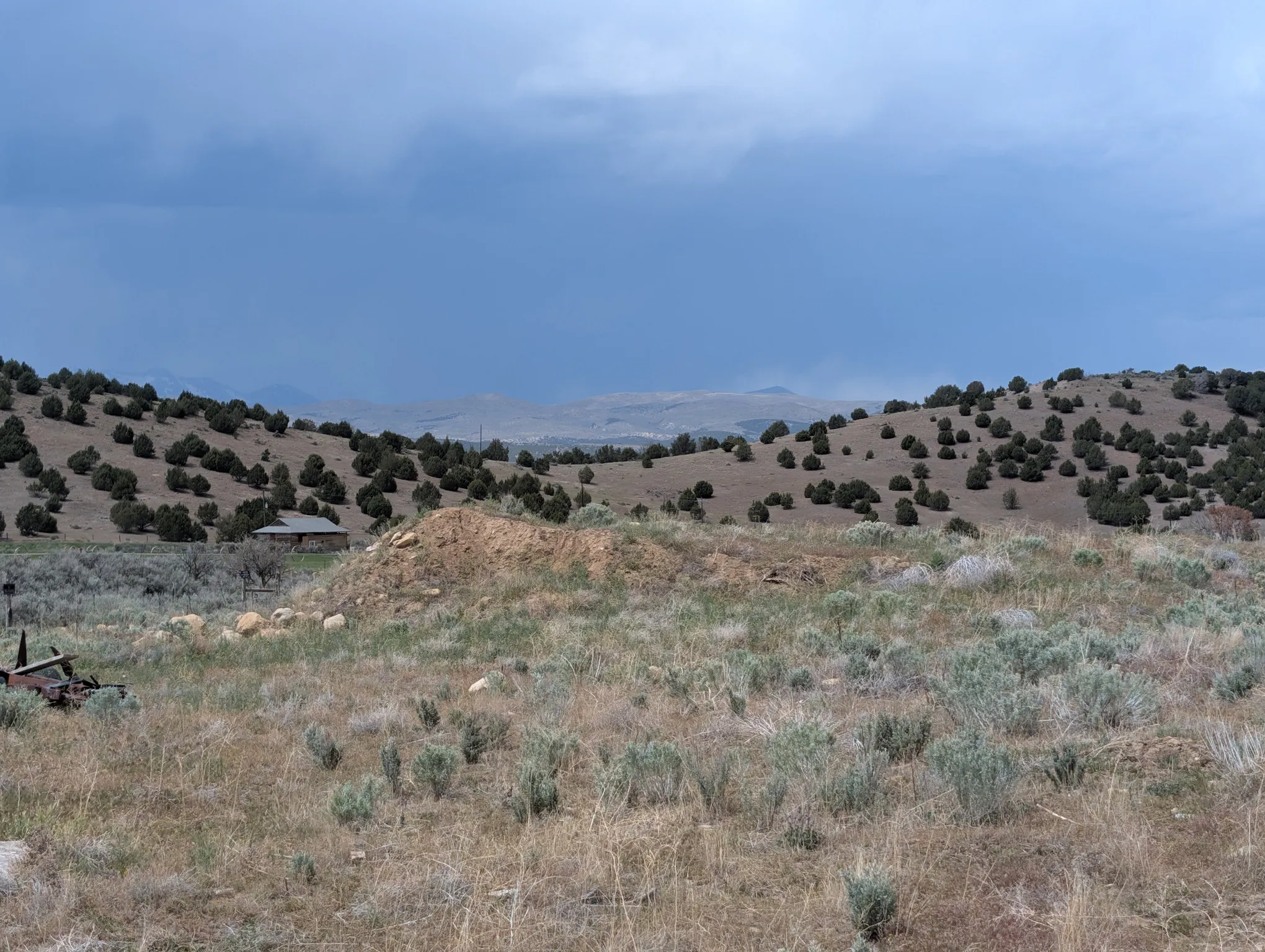 Expansive hillside property featuring diverse native vegetation, including mature shrubs and trees