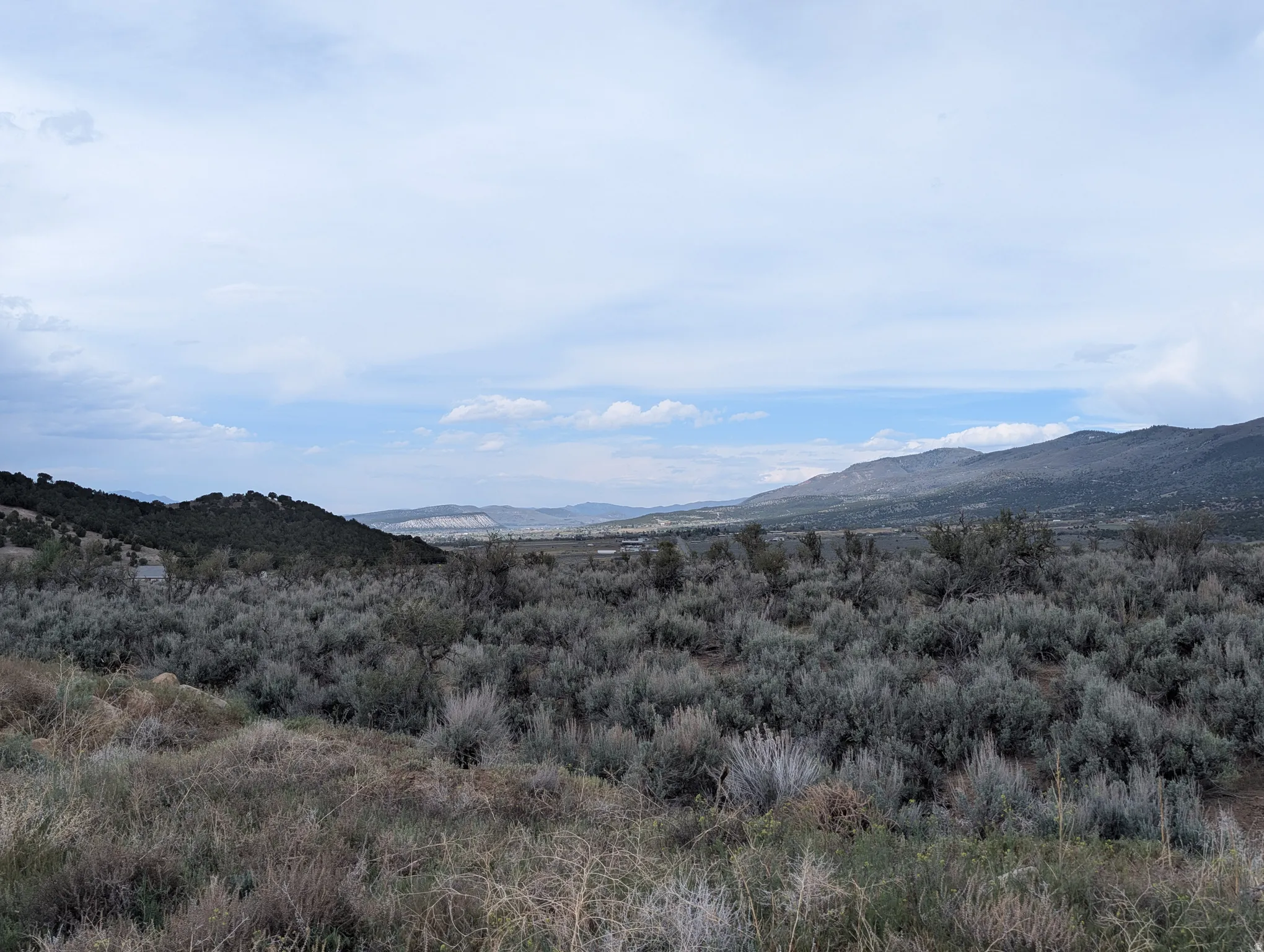 Expansive undeveloped land featuring natural vegetation and distant mountain ranges under a broad sky