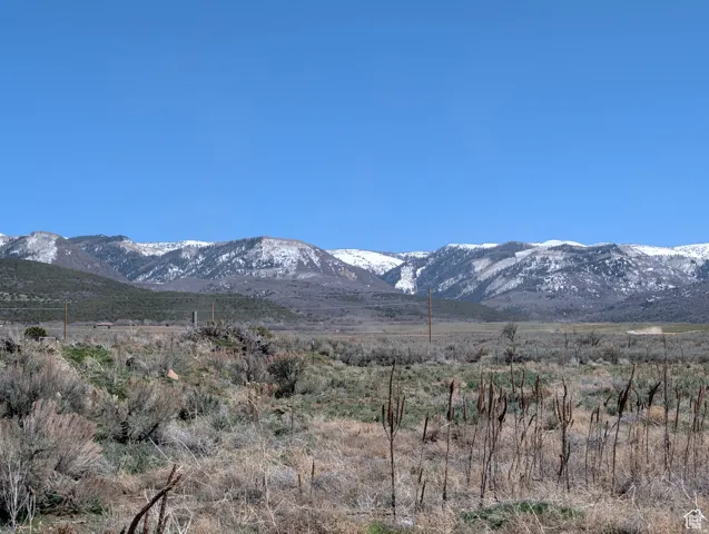 View of mountain background with rural landscape