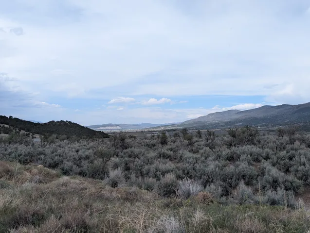 Expansive undeveloped land featuring natural vegetation and distant mountain ranges under a broad sky