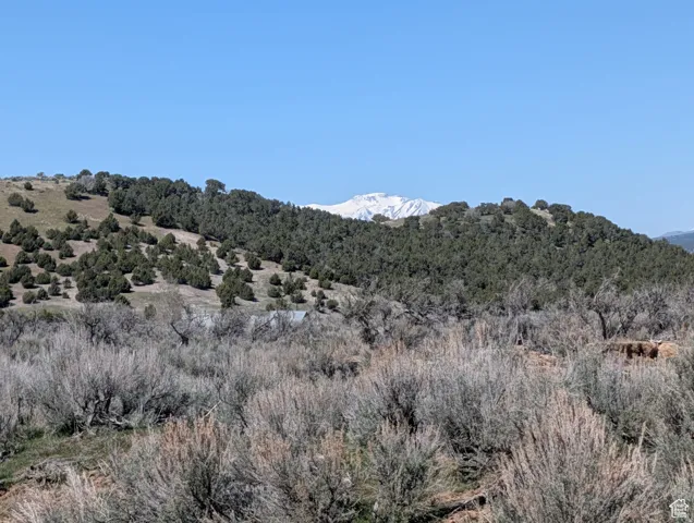 View of mountain backdrop with a forest