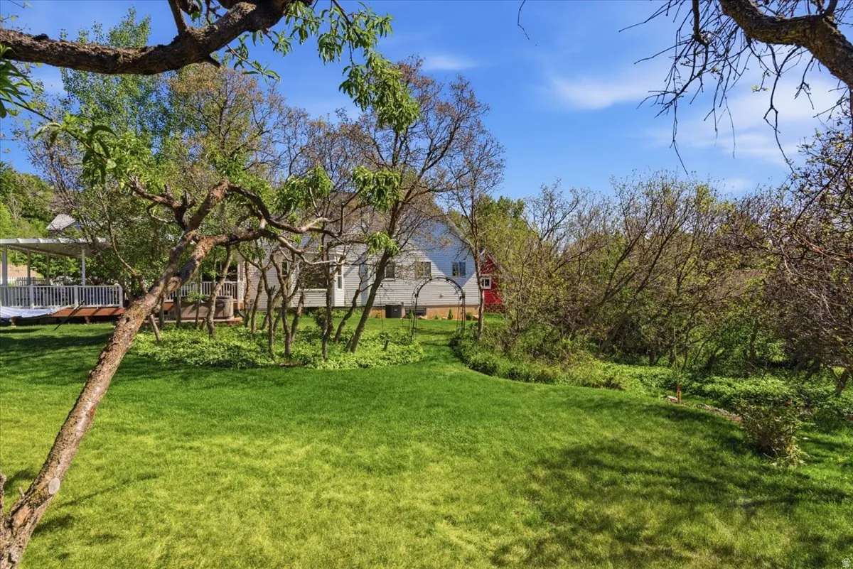 Expansive green lawn with mature trees and natural landscaping