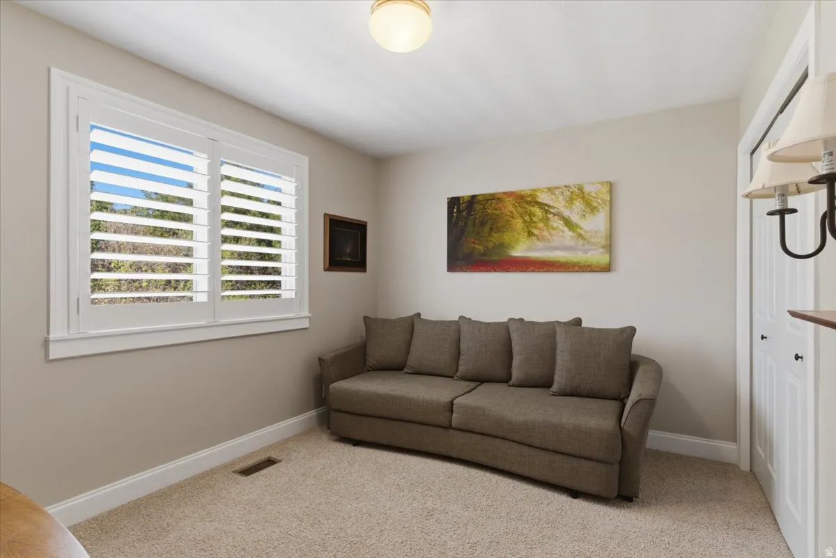 Bright room featuring a window with white plantation shutters, carpeted flooring, and a ceiling-mounted light fixture