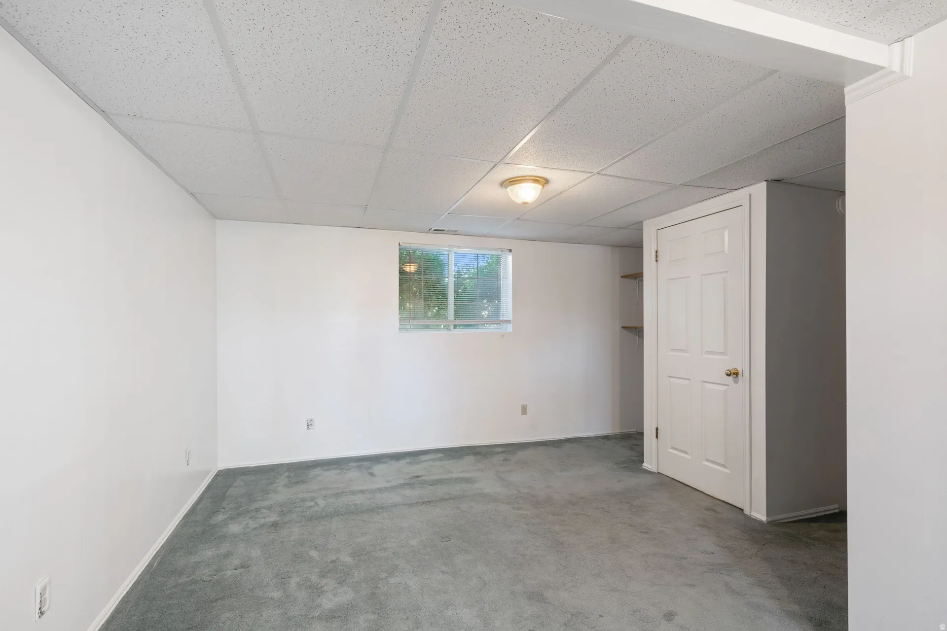 Spacious room featuring a drop ceiling, single window, wall-to-wall carpeting, and a panel door with an adjacent built-in shelving unit