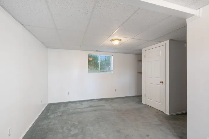 Spacious room featuring a drop ceiling, single window, wall-to-wall carpeting, and a panel door with an adjacent built-in shelving unit