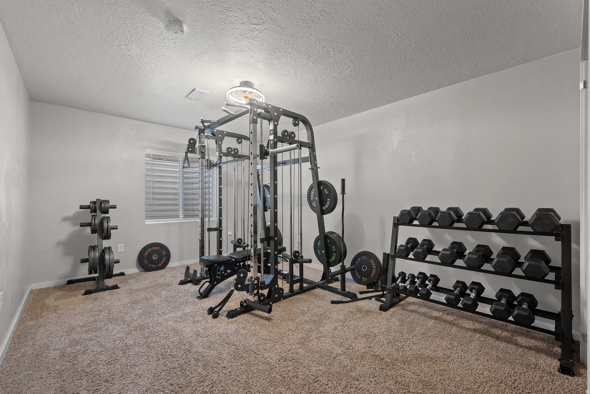 Carpeted room featuring a window with blinds, overhead lighting, and neutral wall paint