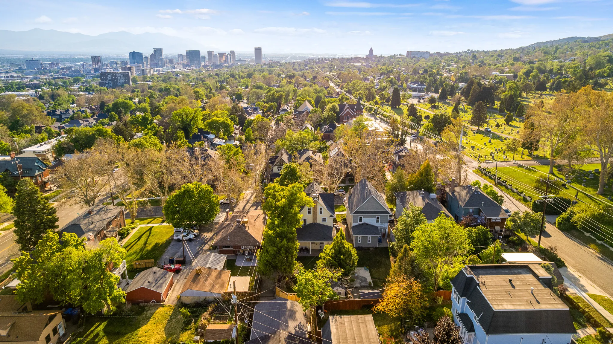 Aerial perspective showcasing a residential area with mature trees and varied architecture